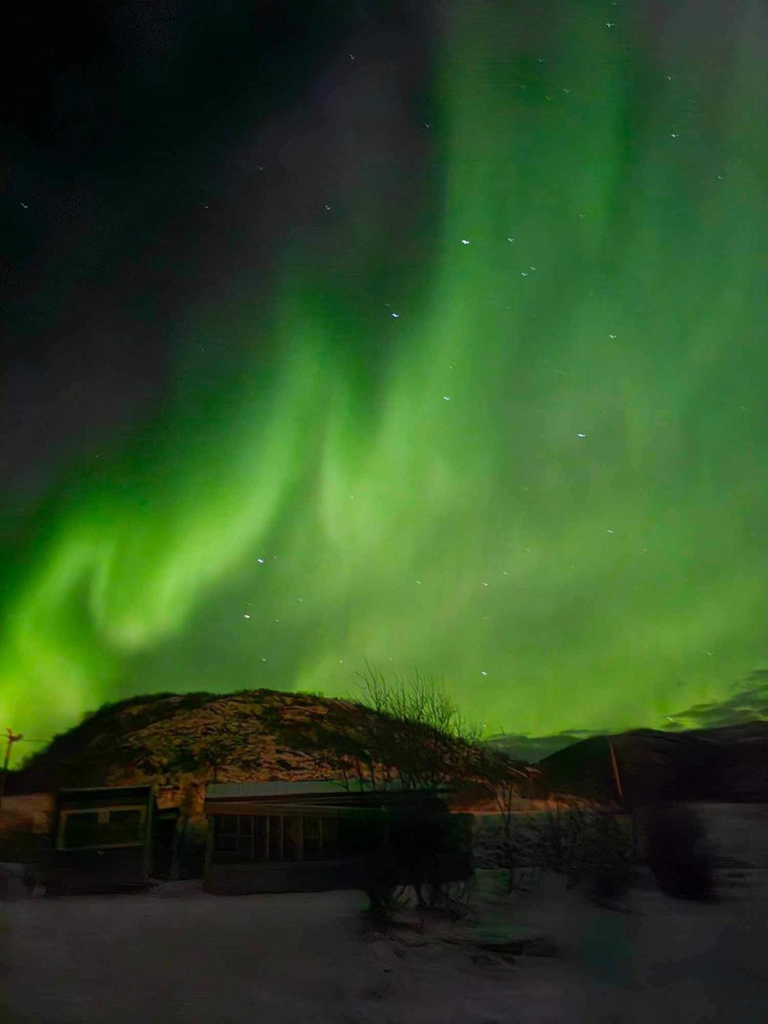 Storjord Farmstay Glamping ترومسو المظهر الخارجي الصورة